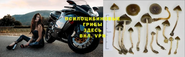 мяу мяу мука Шали
