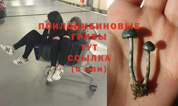 apvp Зеленокумск