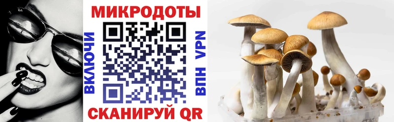 Галлюциногенные грибы GOLDEN TEACHER  Купить где  Морозовск 